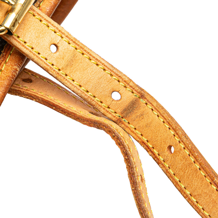 Vintage Louis Vuitton Monogram Petit Bucket