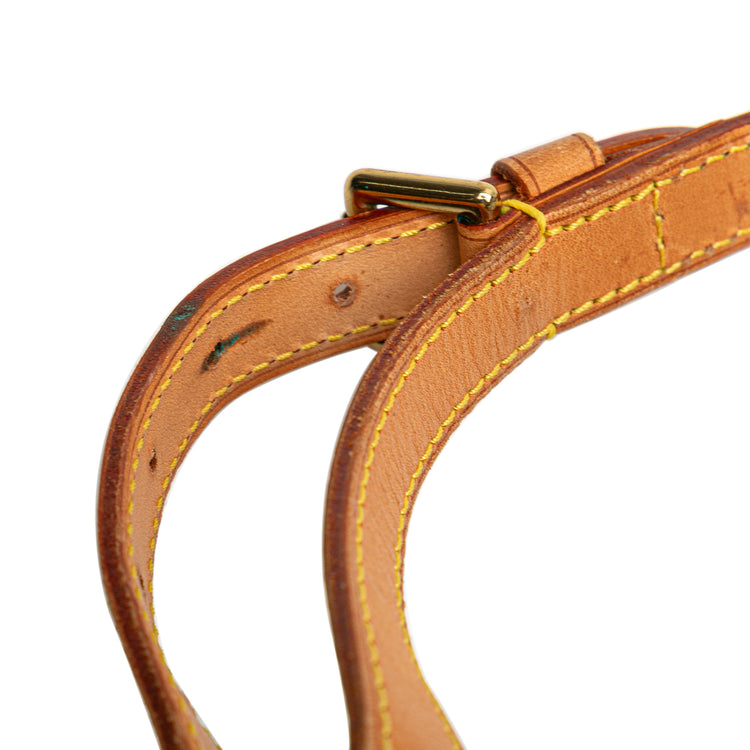 Vintage Louis Vuitton Monogram Ellipse Backpack