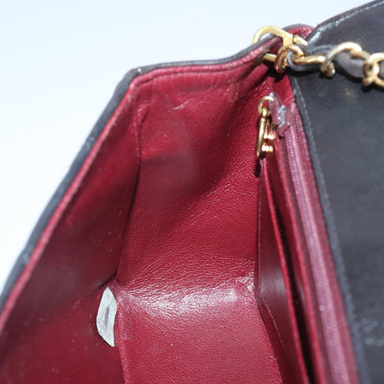 Chanel Diana 22 Chain Shoulder Bag