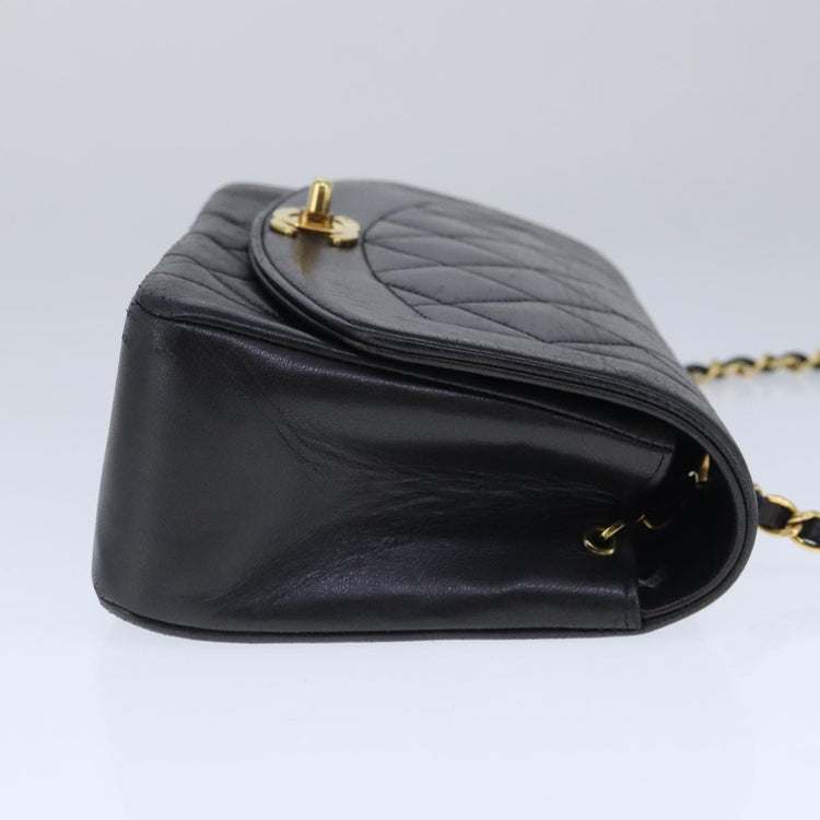 Chanel Diana 22 Chain Shoulder Bag